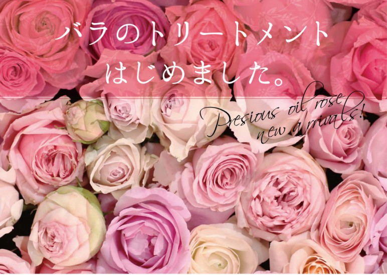 0353_rose_pop_yoko のコピー